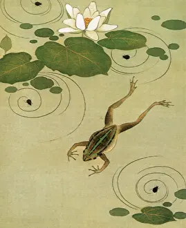 Afloat: Leaping Frog