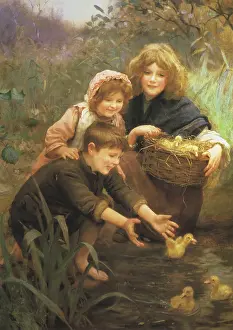 Ducklings: Learning to Swim