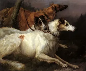 Leash: On Leash, Korotai, Zeneitra and Piolla
