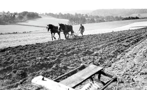 Leatherhead: Leatherhead, 1925