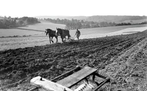 Leatherhead: Leatherhead, Ploughing 1925