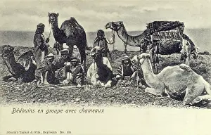 Bedouins: Lebanon - Bedouins with their camels
