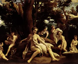 Metamorphosis: Leda and the Swan, by Correggio