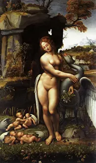 Metamorphosis: Leda and the Swan, by Leonardo da Vinci