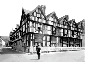 Ledbury: Ledbury, the Park c1955