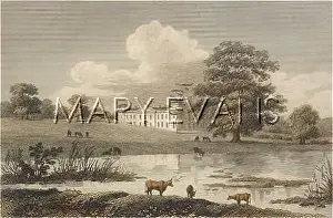 Bolingbroke: LEDIARD TREGOZE/1808