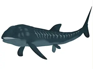 Osteichthyes: Leedsichthys is an extinct bony fish from the Mesozoic Era