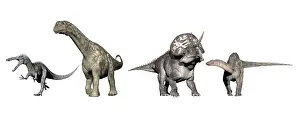 Ceratopsian: Left to Right: Suchomimus, Argentinosaurus, Zuniceratops, ?