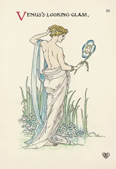 Speculum: Legousia Speculum Vener