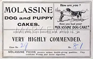 Commended: LEICESTER K C PRIZE CARD