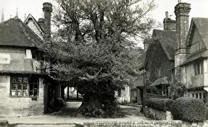 Penshurst: Leicester Square, Penshurst, Kent