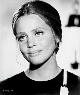 Adventurers: Leigh Taylor-Young - actress
