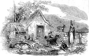 Leinster: Leinster cottage, Ireland 1843