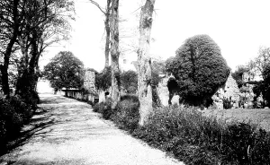 Leiston: Leiston, the Abbey 1894