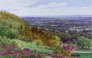 Dorking: Leith Hill, near Dorking, Surrey