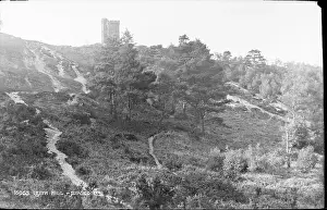Leith: Leith Hill Tower