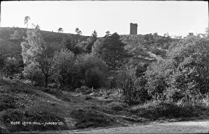 Leith: Leith Hill Tower