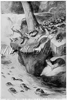 Lemmings: LEMMINGS LEAP IN RIVER
