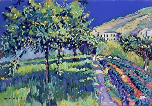 Andalucia: Lemon Fields, Andalucia - with road & houses