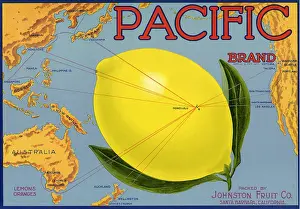 Honolulu: Lemon Fruit Label