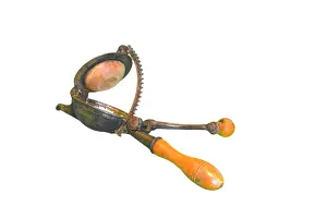 Squeezer: Lemon Squeezer