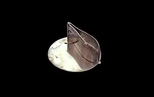 Squeezer: Lemon Squeezer