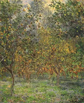 Profusion: Lemon Trees, by Monet