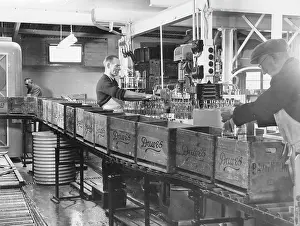 Dawe: LEMONADE FACTORY