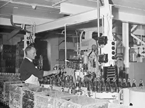 Dawe: LEMONADE FACTORY