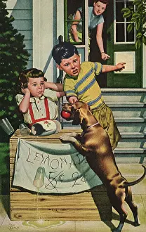 Knocked: Lemonade Stand Fiasco