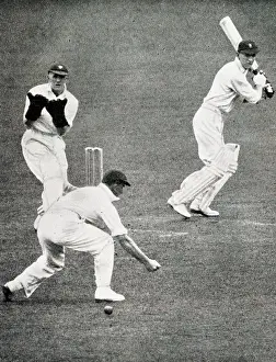 Barnett: Len Hutton cutting McCabe past Waite at the Oval