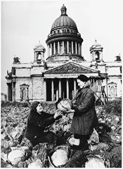 LENINGRAD CABBAGES