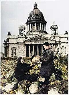 Patches: LENINGRAD CABBAGES