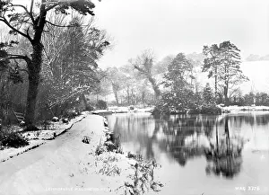 Malone: Lennoxvale, Malone Rd. in Winter