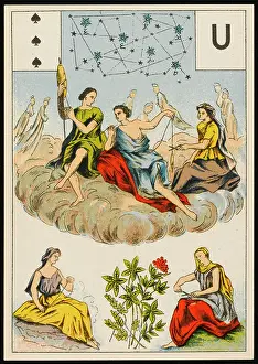 Lenormand: LENORMAND - FATES