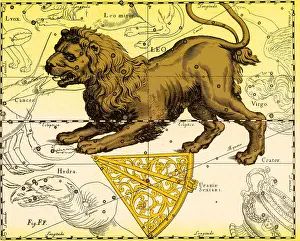 1687: Leo Constellation, Zodiac Sign, Hevelius