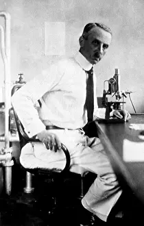 Response: Leo Loeb, German-American Pathologist
