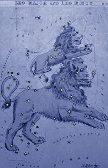 Grid: Leo Major and Leo Minor, 19th Century
