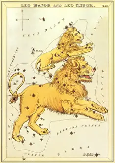 Amonst: Leo Major, Leo Minor