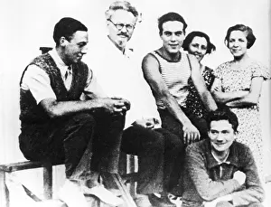 Bronstein: Leon Trotsky in France, 1933