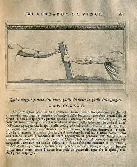 Ricciardo: LEONARDO DA VINCI (1452-1519);