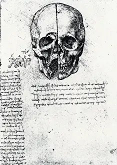 Anatomical: Leonardo da Vinci (1452-1519) Italian painter
