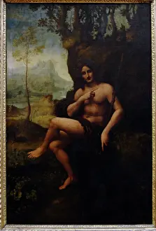 Tempera: Leonardo da Vinci (1452-1519). Italian polymath. St. John th