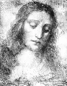 Brera: Leonardo da Vinci