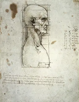Proportion: Leonardo da Vinci, anatomical study, head and shoulders