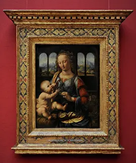 1452: Leonardo da Vincis The Madonna of the Carnation