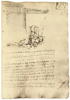 Recumbent: Leonardo Flying Machine
