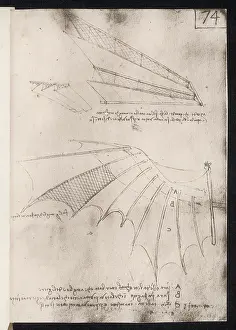 Vinci: Leonardo Wings