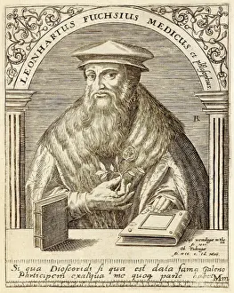 Fuchsia: LEONHARD FUCHS