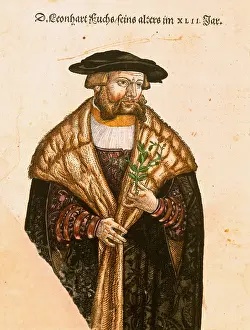 Krauterbuch: Leonhart Fuchs